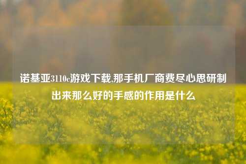 诺基亚3110c游戏下载,那手机厂商费尽心思研制出来那么好的手感的作用是什么