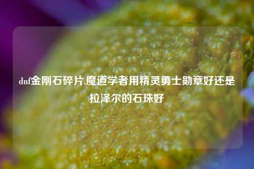 dnf金刚石碎片,魔道学者用精灵勇士勋章好还是拉泽尔的石珠好