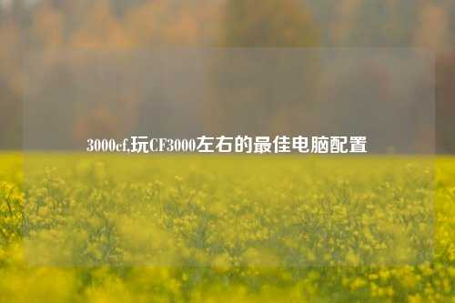 3000cf,玩CF3000左右的最佳电脑配置