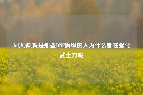 dnf大神,就是那些DNF满级的人为什么都在强化武士刀呢