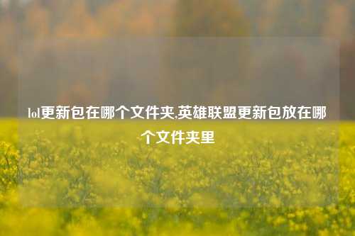 lol更新包在哪个文件夹,英雄联盟更新包放在哪个文件夹里