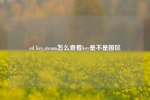 cd key,steam怎么查看key是不是国区