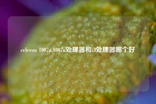 celeron 1007u,1007u处理器和i3处理器哪个好