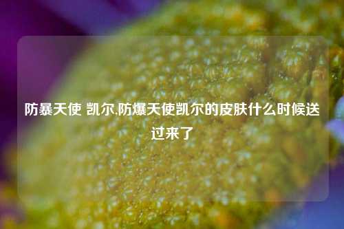 防暴天使 凯尔,防爆天使凯尔的皮肤什么时候送过来了