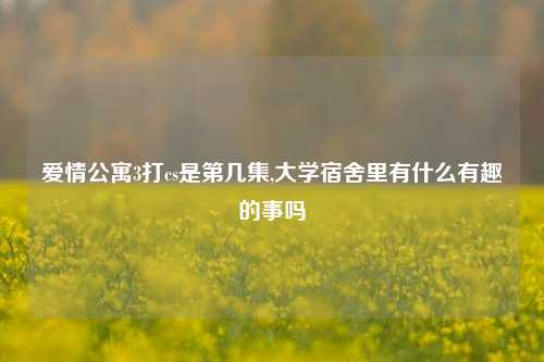 爱情公寓3打cs是第几集,大学宿舍里有什么有趣的事吗