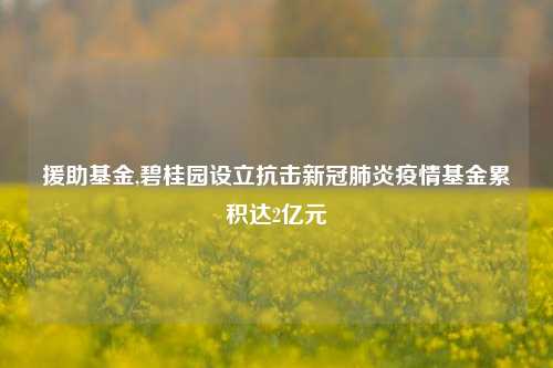 援助基金,碧桂园设立抗击新冠肺炎疫情基金累积达2亿元