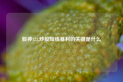 股神123,炒股短线暴利的关键是什么