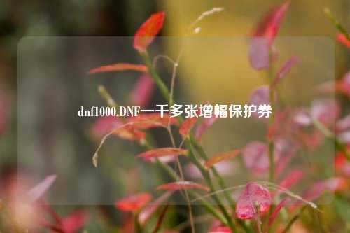 dnf1000,DNF一千多张增幅保护券