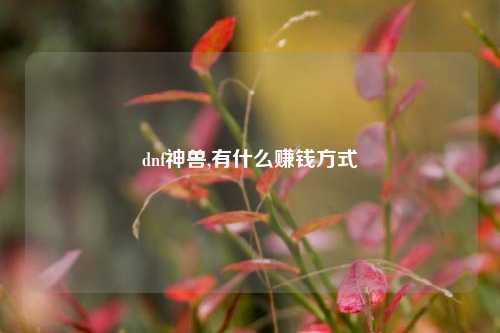 dnf神兽,有什么赚钱方式