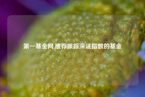 第一基金网,推荐跟踪深证指数的基金