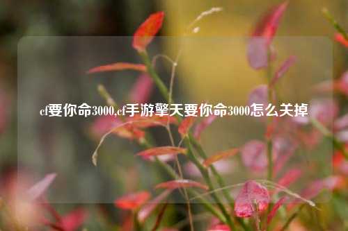 cf要你命3000,cf手游擎天要你命3000怎么关掉