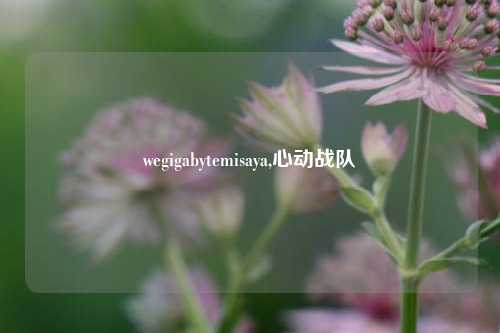 wegigabytemisaya,心动战队