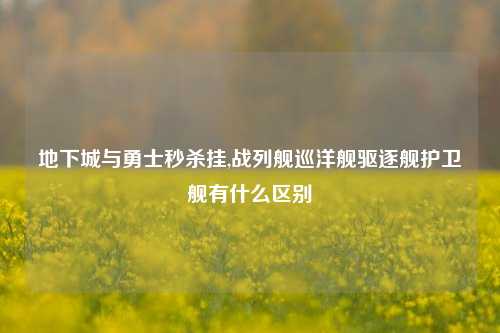 地下城与勇士秒杀挂,战列舰巡洋舰驱逐舰护卫舰有什么区别