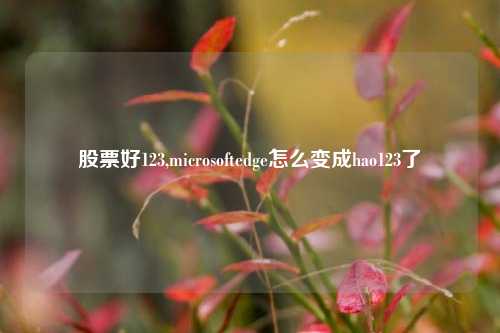 股票好123,microsoftedge怎么变成hao123了