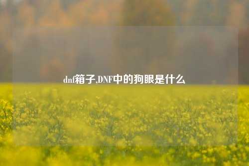 dnf箱子,DNF中的狗眼是什么