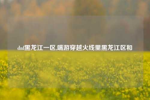 dnf黑龙江一区,端游穿越火线里黑龙江区和