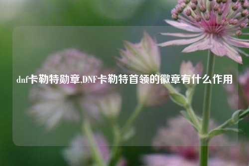 dnf卡勒特勋章,DNF卡勒特首领的徽章有什么作用