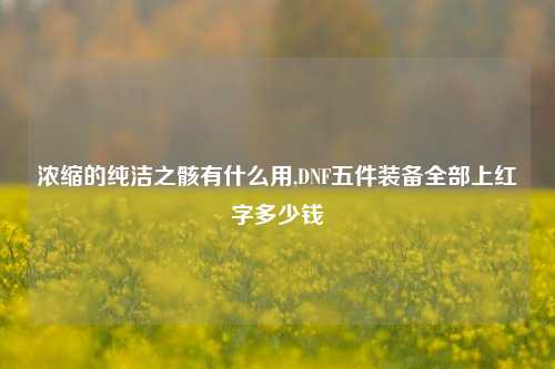 浓缩的纯洁之骸有什么用,DNF五件装备全部上红字多少钱