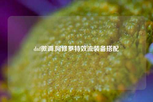 dnf微调,阿修罗特效流装备搭配