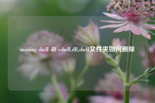 missing shell dll cshell.dll,shell文件夹如何删除