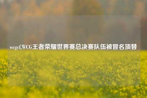 wcgcf,WCG王者荣耀世界赛总决赛队伍被冒名顶替