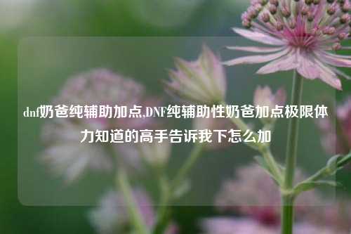 dnf奶爸纯辅助加点,DNF纯辅助性奶爸加点极限体力知道的高手告诉我下怎么加