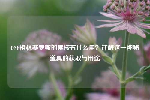 DNF格林赛罗斯的果核有什么用?详解这一神秘道具的获取与用途