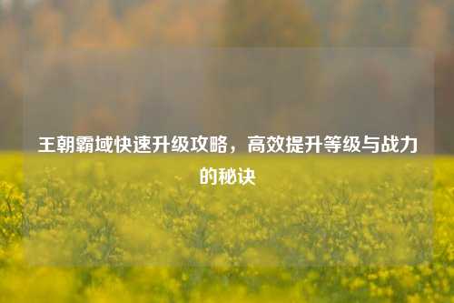 王朝霸域快速升级攻略,高效提升等级与战力的秘诀