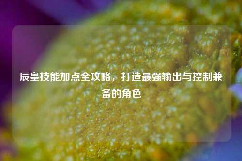 辰皇技能加点全攻略,打造最强输出与控制兼备的角色
