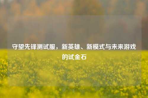 守望先锋测试服,新英雄、新模式与未来游戏的试金石