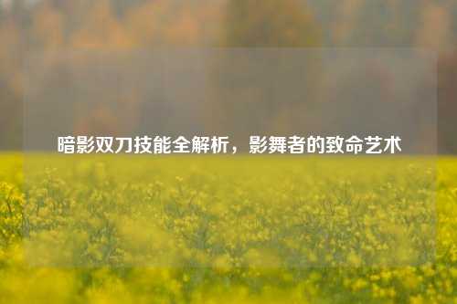 暗影双刀技能全解析，影舞者的致命艺术