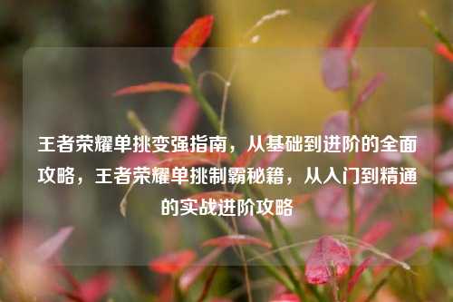 王者荣耀单挑变强指南，从基础到进阶的全面攻略，王者荣耀单挑制霸秘籍，从入门到精通的实战进阶攻略