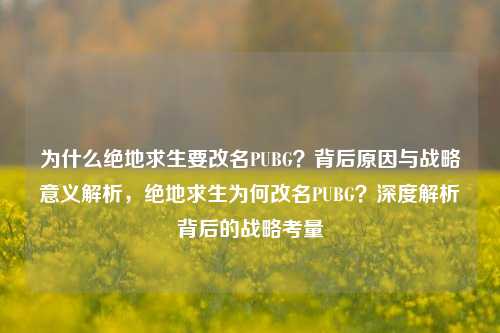 为什么绝地求生要改名PUBG？背后原因与战略意义解析，绝地求生为何改名PUBG？深度解析背后的战略考量