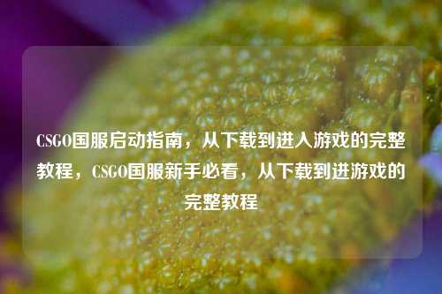CSGO国服启动指南,从下载到进入游戏的完整教程,CSGO国服新手必看,从下载到进游戏的完整教程