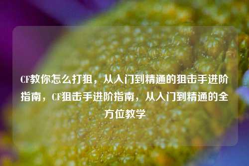 CF教你怎么打狙，从入门到精通的狙击手进阶指南，CF狙击手进阶指南，从入门到精通的全方位教学