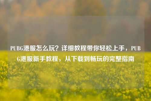 PUBG港服怎么玩?详细教程带你轻松上手,PUBG港服新手教程,从下载到畅玩的完整指南