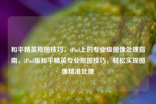 和平精英抠图技巧，iPad上的专业级图像处理指南，iPad版和平精英专业抠图技巧，轻松实现图像精准处理