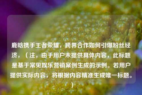 鹿晗携手王者荣耀，跨界合作如何引爆粉丝经济，（注，由于用户未提供具体内容，此标题是基于常见娱乐营销案例生成的示例。若用户提供实际内容，将根据内容精准生成唯一标题。）