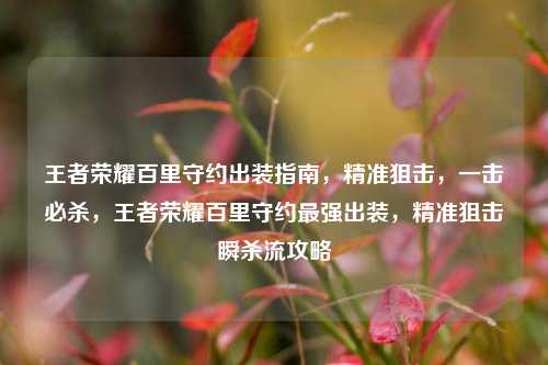 王者荣耀百里守约出装指南，精准狙击，一击必杀，王者荣耀百里守约最强出装，精准狙击瞬杀流攻略