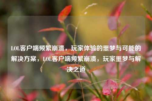 LOL客户端频繁崩溃,玩家体验的噩梦与可能的解决方案,LOL客户端频繁崩溃,玩家噩梦与解决之道