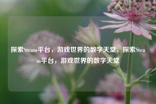 探索Steam平台，游戏世界的数字天堂，探索Steam平台，游戏世界的数字天堂
