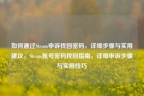 如何通过Steam申诉找回密码，详细步骤与实用建议，Steam账号密码找回指南，详细申诉步骤与实用技巧