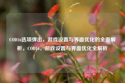 COD16选项弹出，游戏设置与界面优化的全面解析，COD16，游戏设置与界面优化全解析