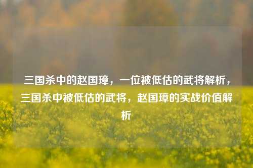 三国杀中的赵国璋，一位被低估的武将解析，三国杀中被低估的武将，赵国璋的实战价值解析