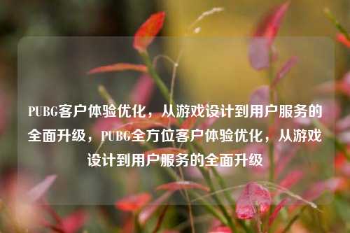 PUBG客户体验优化,从游戏设计到用户服务的全面升级,PUBG全方位客户体验优化,从游戏设计到用户服务的全面升级