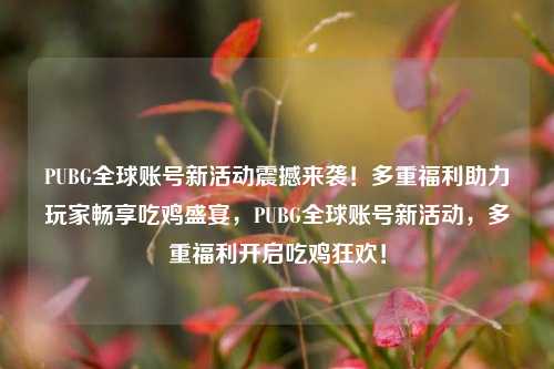 PUBG全球账号新活动震撼来袭！多重福利助力玩家畅享吃鸡盛宴，PUBG全球账号新活动，多重福利开启吃鸡狂欢！
