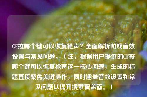 CF按哪个键可以恢复枪声?全面解析游戏音效设置与常见问题,(注,根据用户提供的CF按哪个键可以恢复枪声这一核心问题,生成的标题直接聚焦关键操作,同时涵盖音效设置和常见问题以提升搜索覆盖面。)