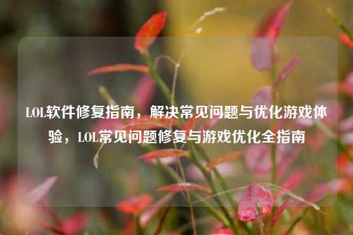 LOL软件修复指南，解决常见问题与优化游戏体验，LOL常见问题修复与游戏优化全指南