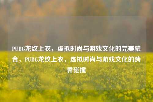 PUBG龙纹上衣,虚拟时尚与游戏文化的完美融合,PUBG龙纹上衣,虚拟时尚与游戏文化的跨界碰撞