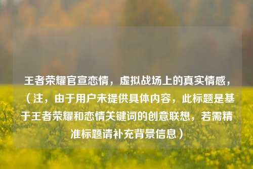 王者荣耀官宣恋情,虚拟战场上的真实情感,(注,由于用户未提供具体内容,此标题是基于王者荣耀和恋情关键词的创意联想,若需精准标题请补充背景信息)